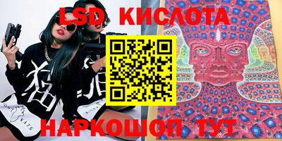 прущие грибы Гусиноозёрск
