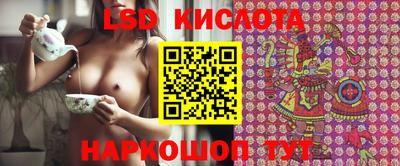 прущие грибы Гусиноозёрск