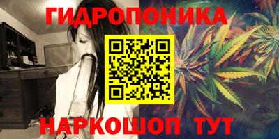 прущие грибы Гусиноозёрск