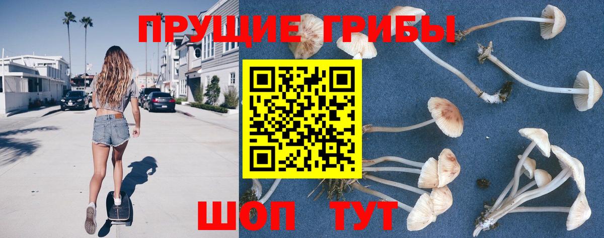 Псилоцибиновые грибы Psilocybine cubensis  Вход с VPN  Галлюциногенные грибы мицелий  Красноперекопск 
